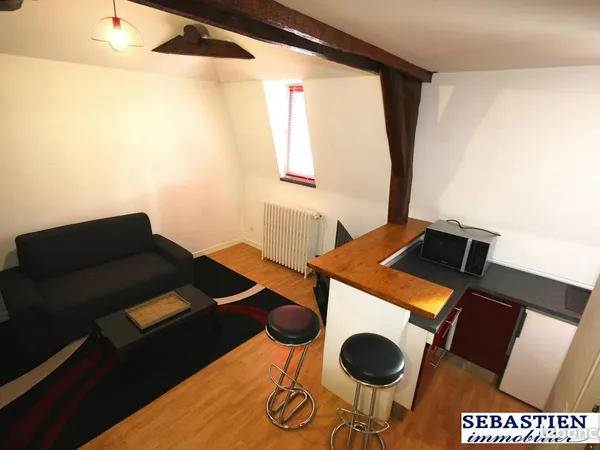 Loft 2 pièces 28 m²