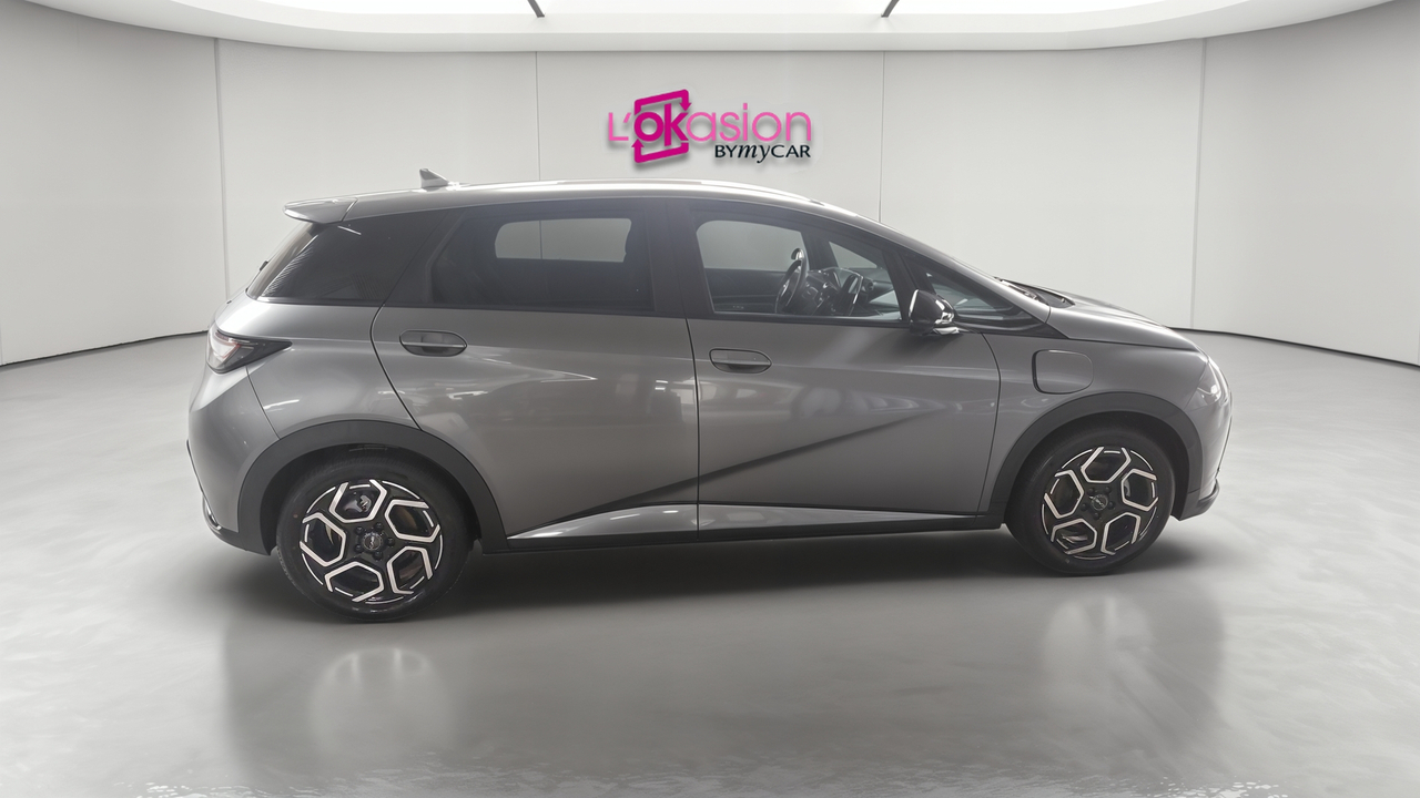 BYD Dolphin 60,4 kWh 204 ch — photo 6