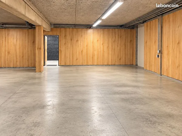 Local professionnel 423m²