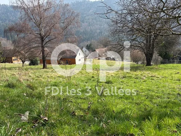 Terrain 3606 m²