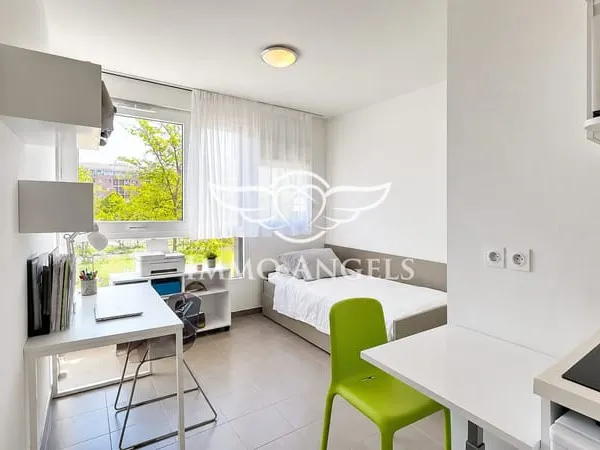 Studio 1 pièce 19 m²