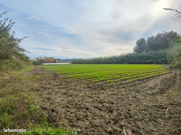 Terrain 1 hectare a' louer