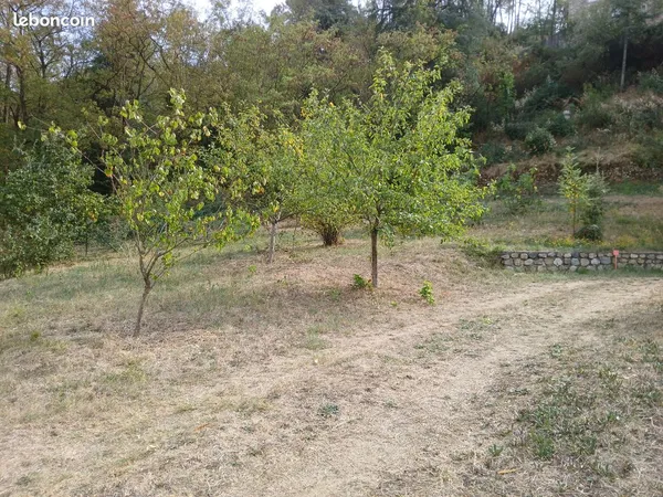 Terrain constructible