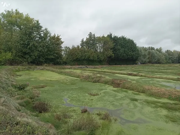 Bien agricole 13467 m²