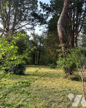 Terrain 1130 m²