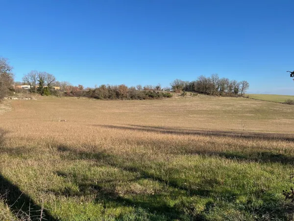 Terrain 1371 m²