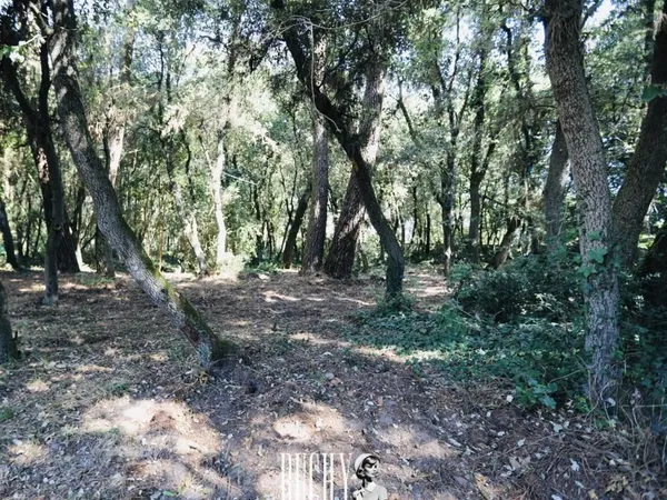 Terrain 2 000 m² Les Sables D Olonne