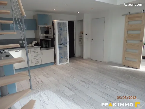 Duplex 3 pièces 46 m²