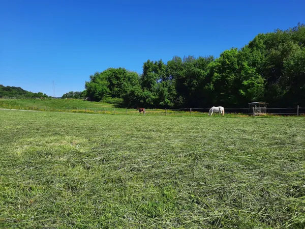 Terrain en individuel 323 m²