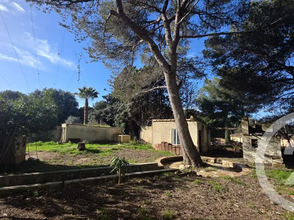 Terrain 463 m²