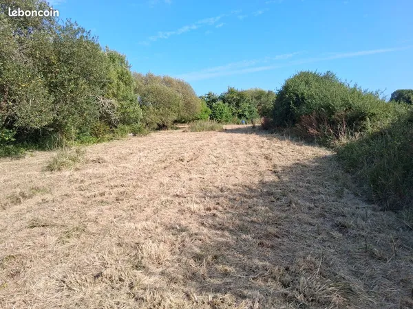 Terrain 2200 M2