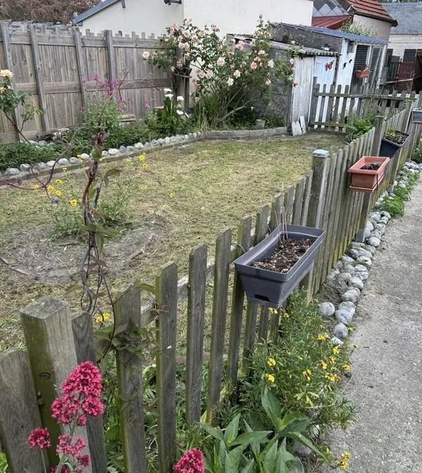Photo 8