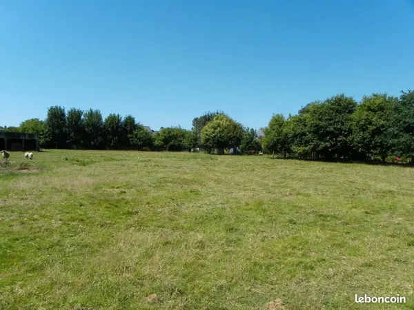Terrain agricole