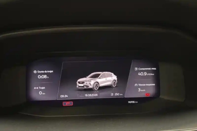 Cupra Formentor 2.0 tsi 310 ch dsg7 4drive — photo 14