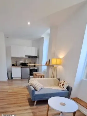Appartement entièrement rénové centre ville