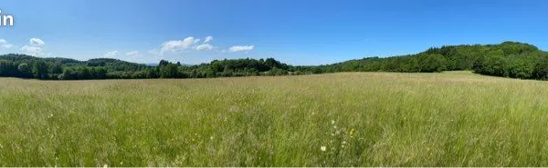 15 hectares prés+forêt
