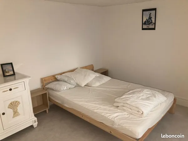 Charmant T2 de 37 m² entièrement meublé et renové - CHU universités
