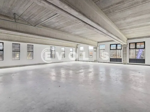 Local d'activité 704 m²