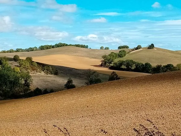 Terrain agricole