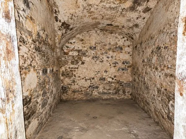 Cave à louer