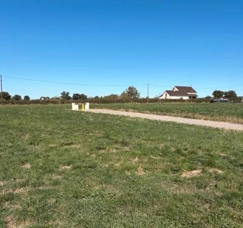 Terrain 1 004 m² Palinges