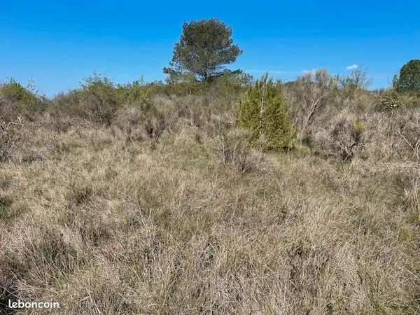 Terrain agricole