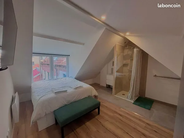 Vieux lille, maison idéal coloc