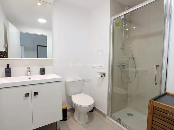 A LOUER ST MEUBLÉ SERRIS 19M²