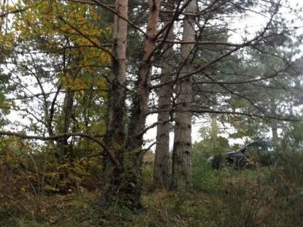 Terrain Pâturage dans les Cévennes Concoules