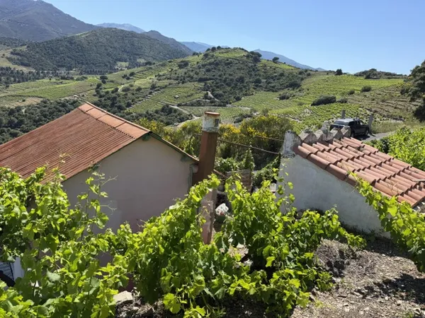 Terrain en individuel 7402 m²