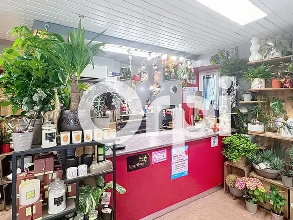 Local commercial 77 m²