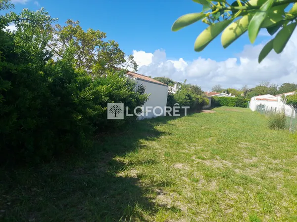 Terrain 555 m²