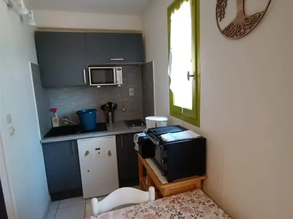 Achat : Appartement Amélie-les-Bains-Palalda (66110)