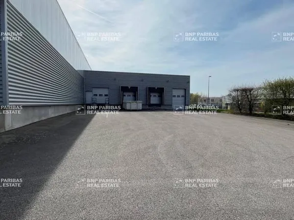 Local d'activité 7169 m²