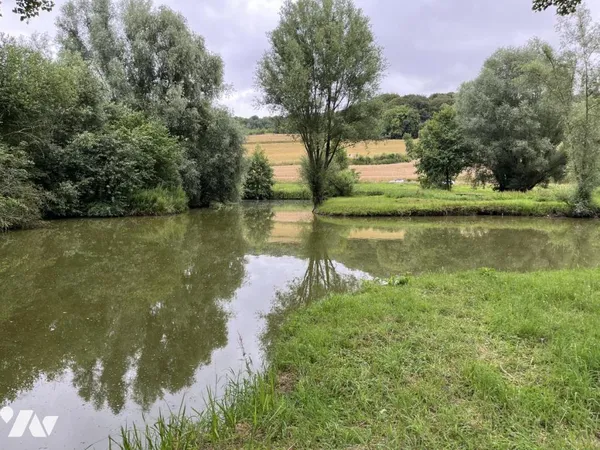 Terrain 11100 m²