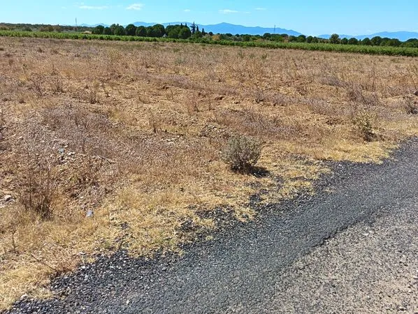 Terrains agricoles
