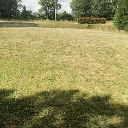 🌳 Terrain de loisirs 630 m² en bord de canal - Thorrey