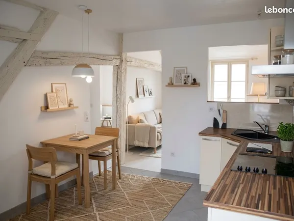 Beaugency centre, maison de ville avec cachet, rénovée, garage, cour et jardin
