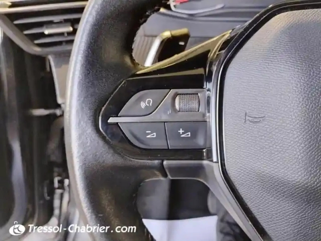 Peugeot 208 puretech 100 s&amp;s eat8 allure — photo 16