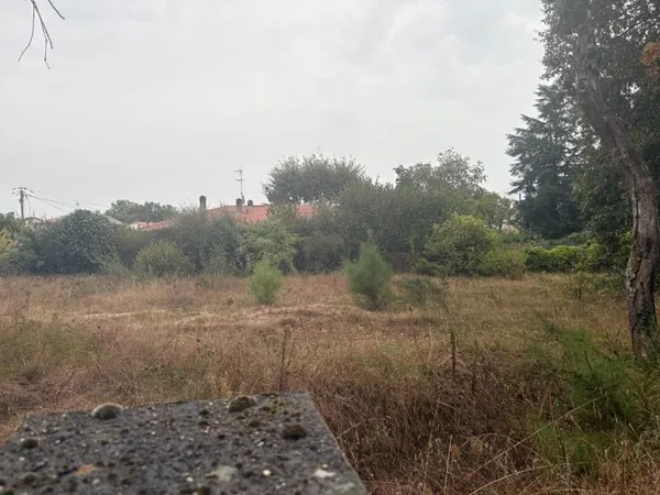 Terrain 320 m²