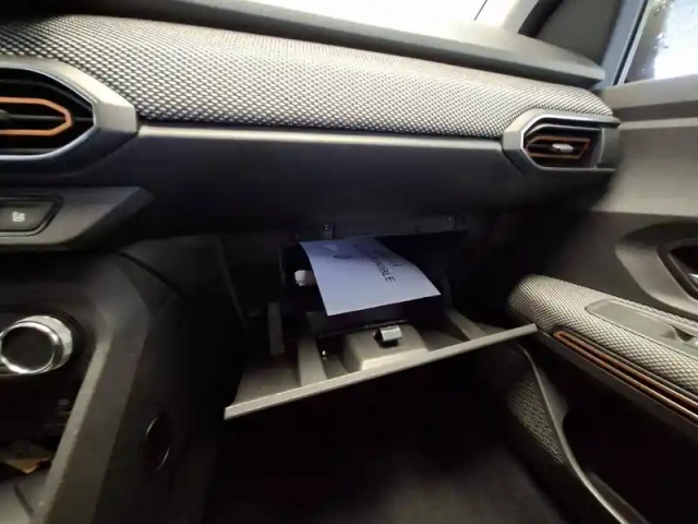 Dacia Sandero eco-g 100 - 22 — photo 22