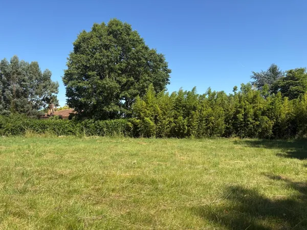 Terrain 705 m²