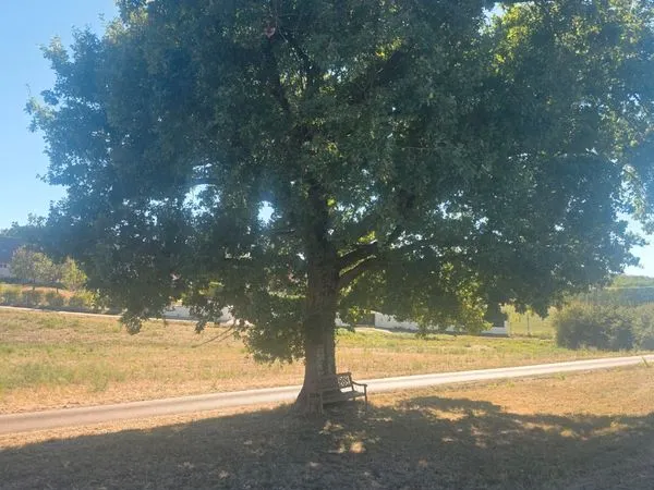Parcelle de 213 m2, emplacement privilégié, cadre verdoyant