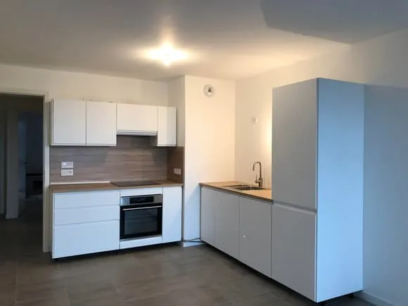 A Vendre - Appartement 3 pièces de 63 m² avec terrasse et vue Cathédrale - Strasbourg Wacken/Quartie