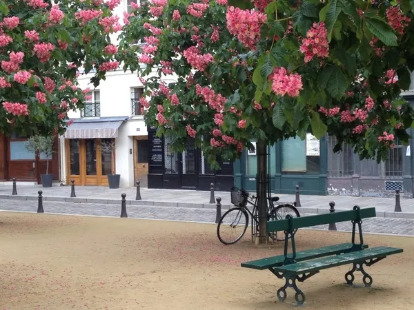 Vends local commercial 80m² Paris 1er - Place Dauphine