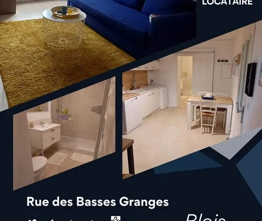 Appartement T2 30 m² - quartier Gare (Blois)