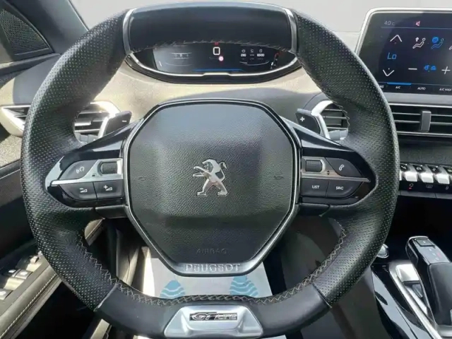 Peugeot 3008 1.5 bluehdi 130ch s&amp;s gt line eat8 — photo 13