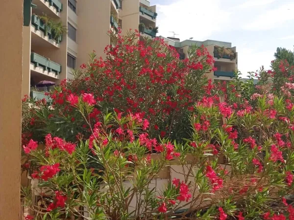 Appartement T4 de 111 m2, quartier Boutonnet