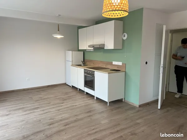 Grand studio 40 m2 exposé sud
