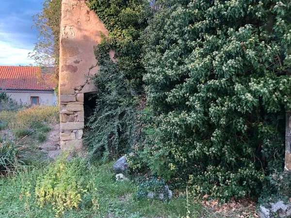 Projet de Construction Maison en Pierres